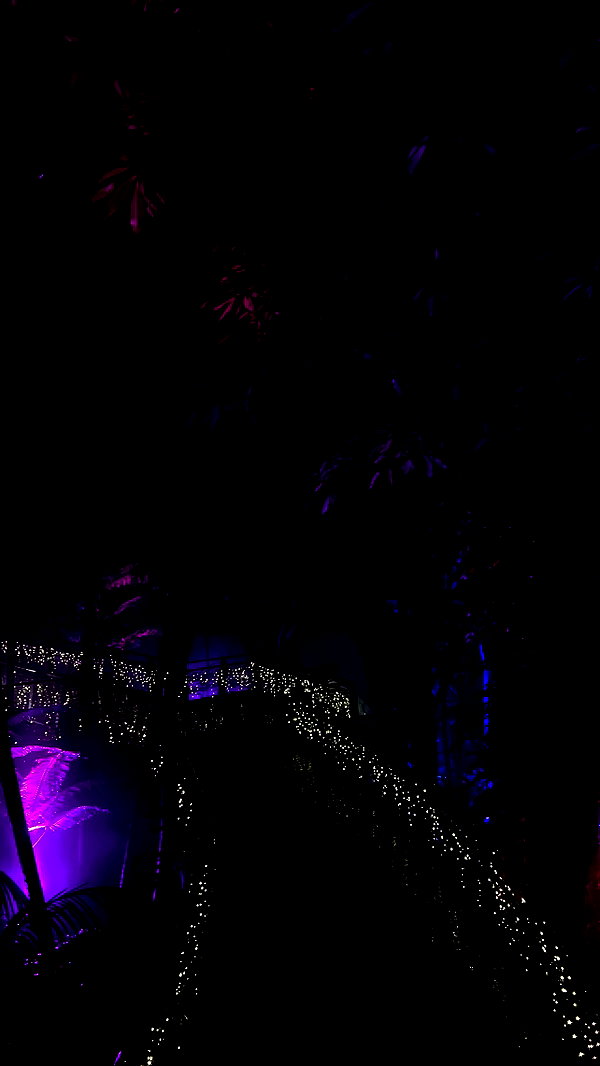 estr3iia estr3iia archive image