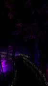 estr3iia Altpins Profile Picture