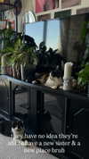 estr3iia Altpins Profile Picture