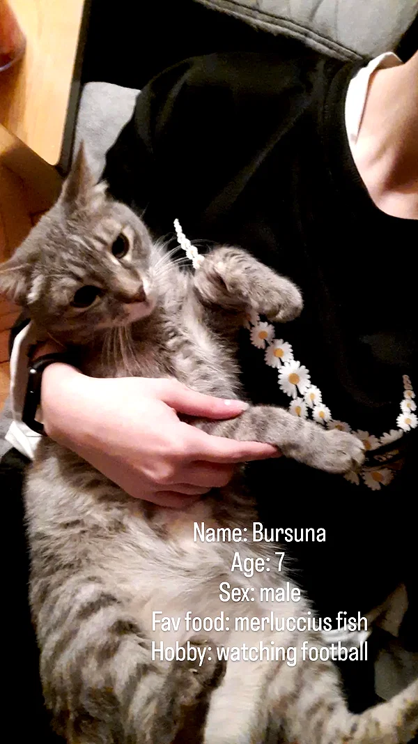 etuna_tuna etuna_tuna archive image