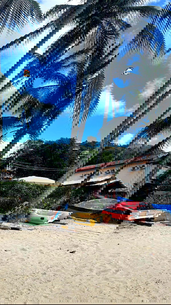 eusandyyh eusandyyh archive image