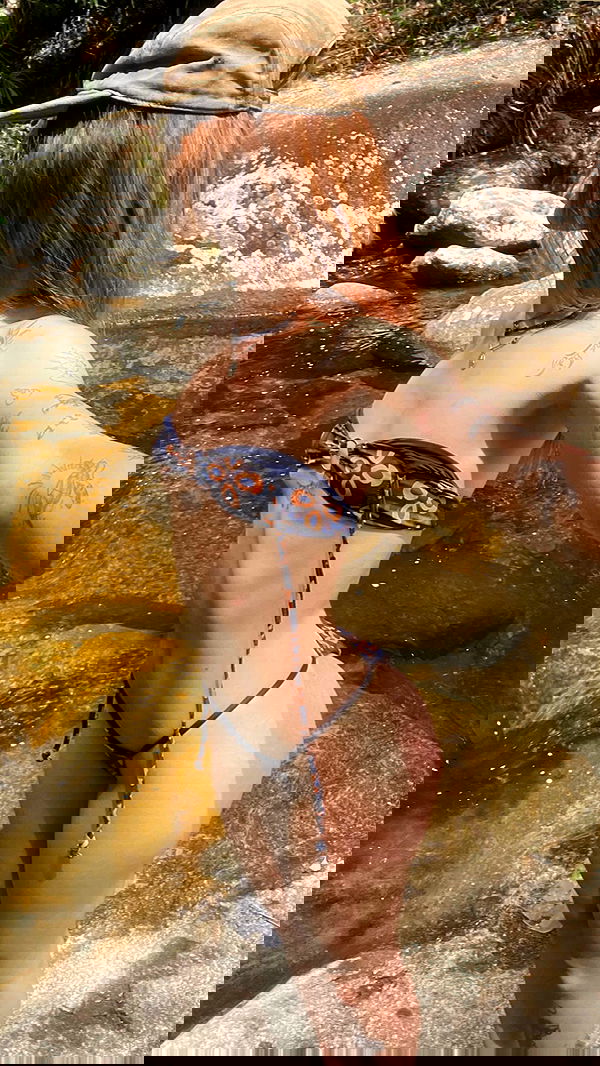 eusandyyh eusandyyh archive image