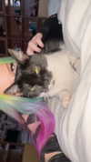 eva_cappellini Altpins Profile Picture