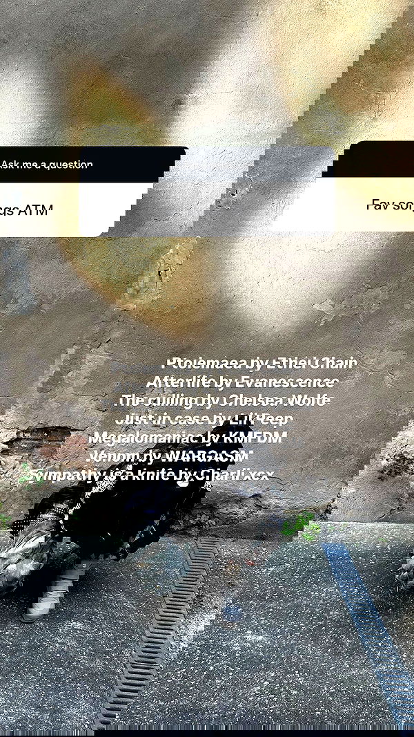 evameganosova image ~ Altpins