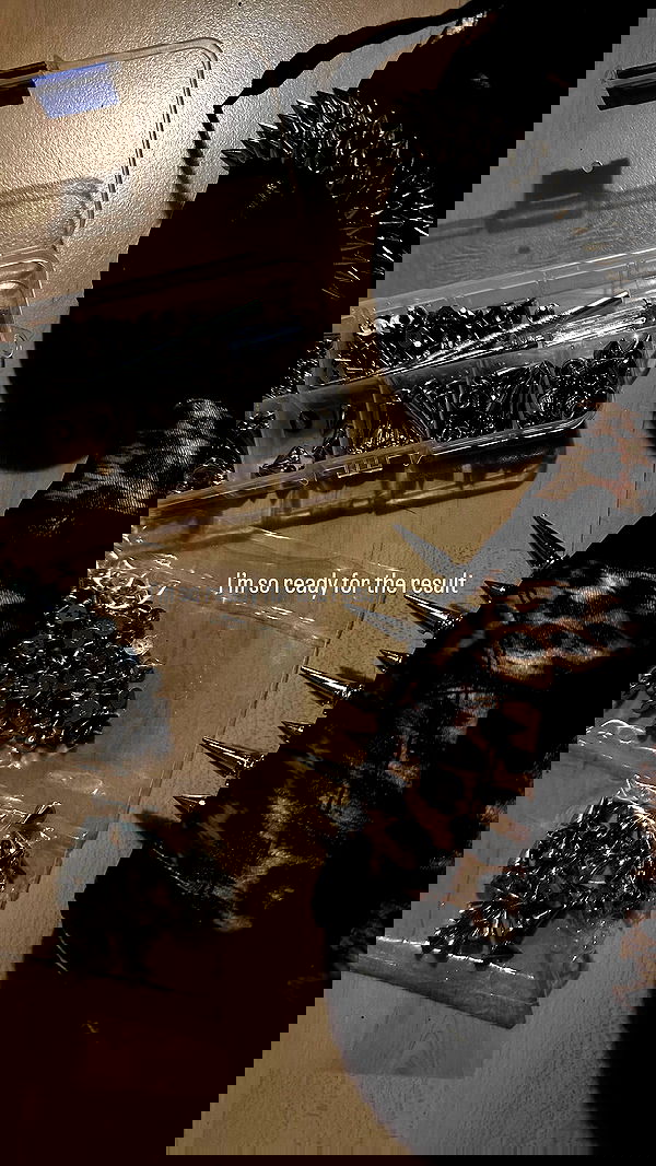 evameganosova image ~ Altpins