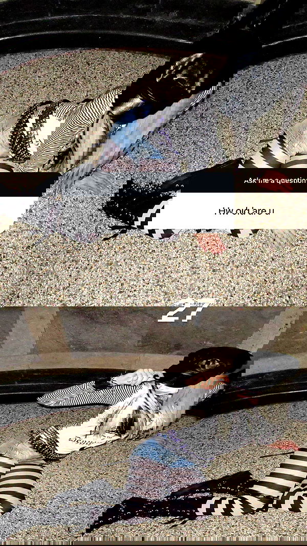 evameganosova image ~ Altpins