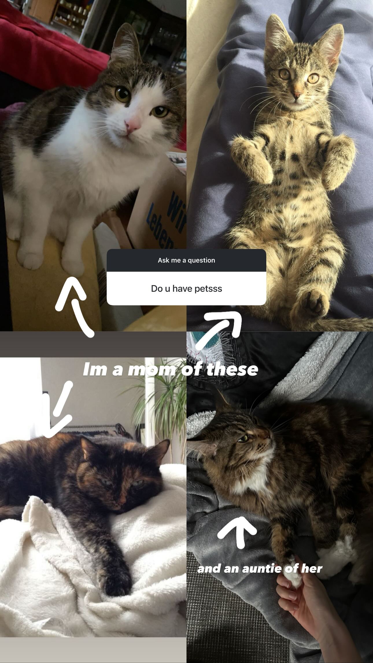 evameganosova instagram image archive image