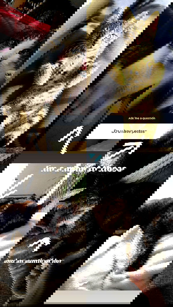 evameganosova image ~ Altpins