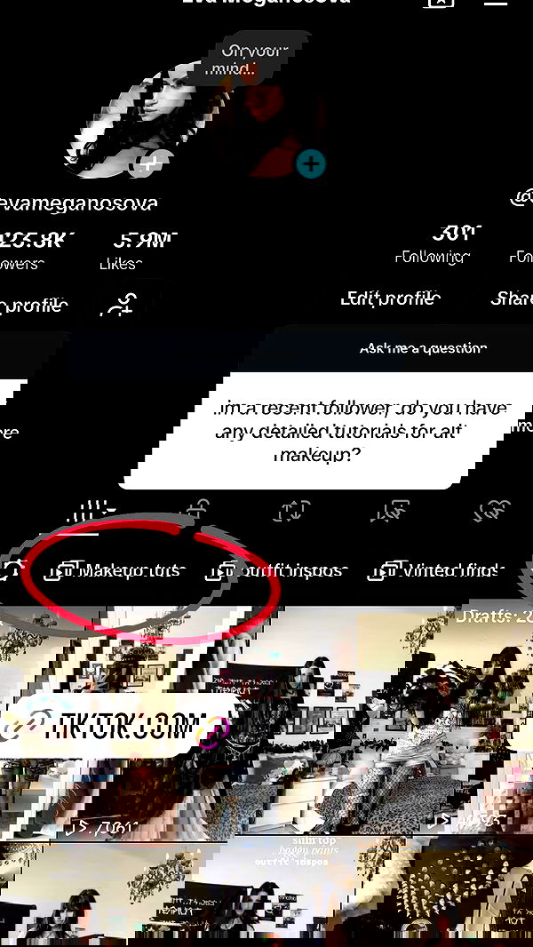 evameganosova image ~ Altpins