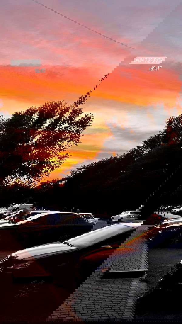 evasidikkk evasidikkk archive image