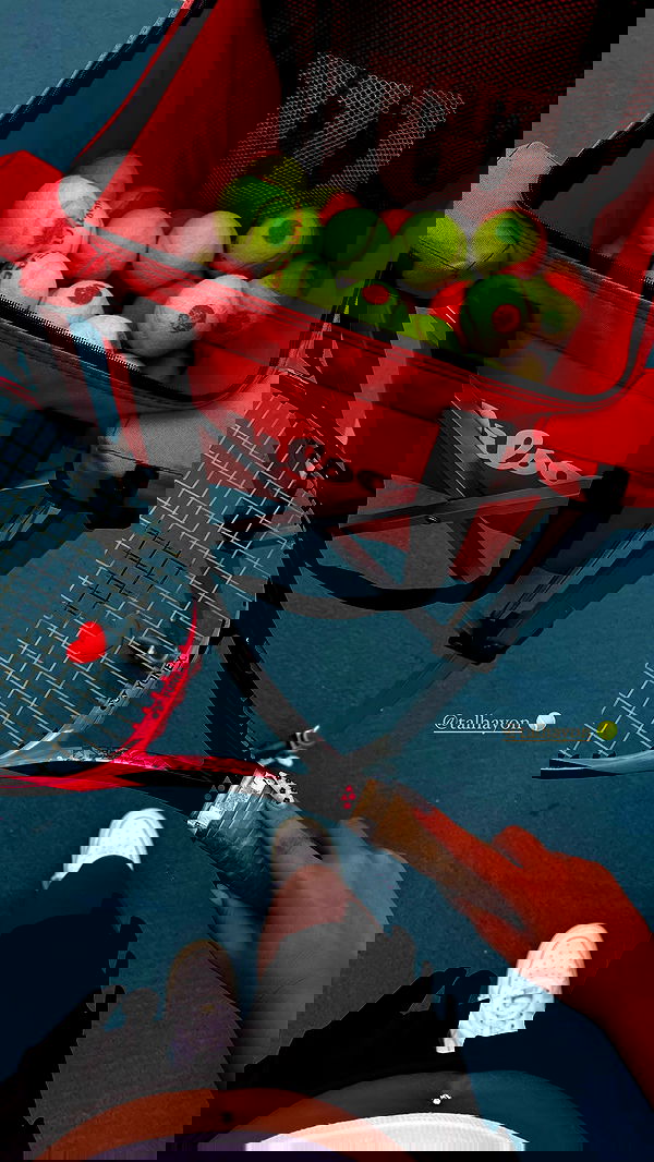 eve__sahar image ~ Altpins