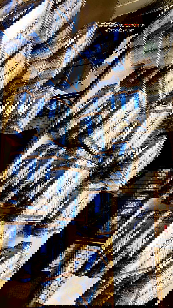 eve__sahar image ~ Altpins