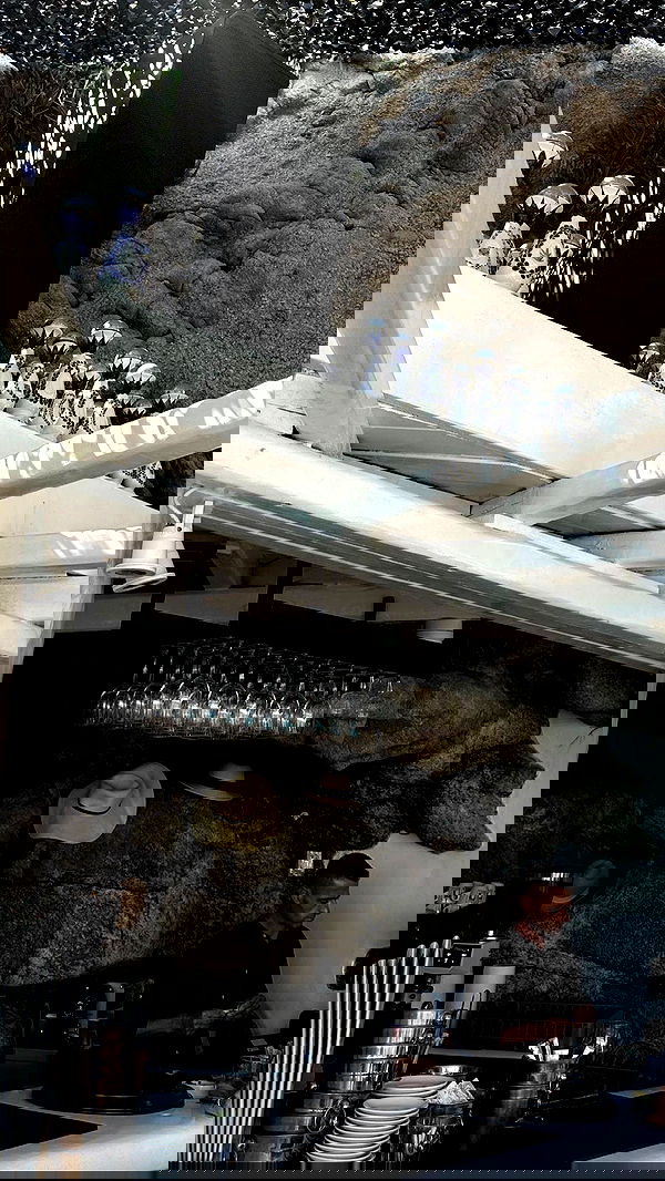 eve__sahar image ~ Altpins