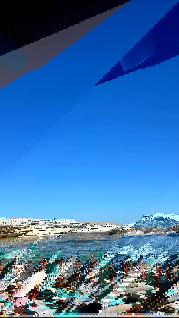 eve__sahar image ~ Altpins