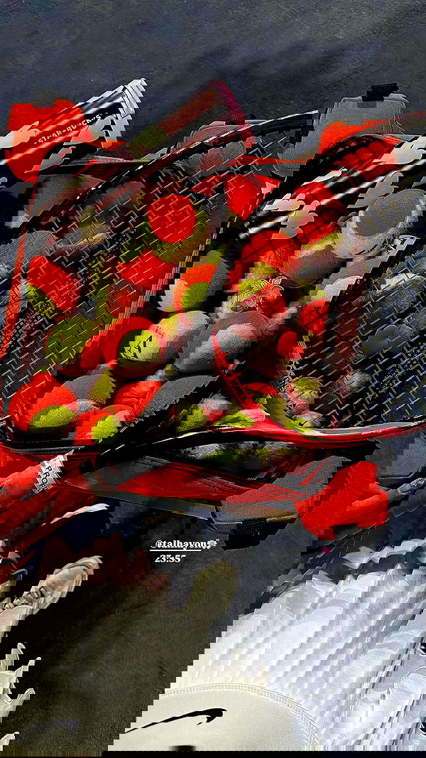 eve__sahar image ~ Altpins