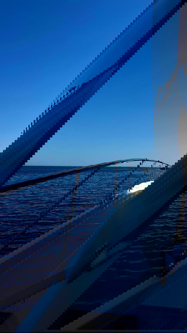 eve__sahar image ~ Altpins