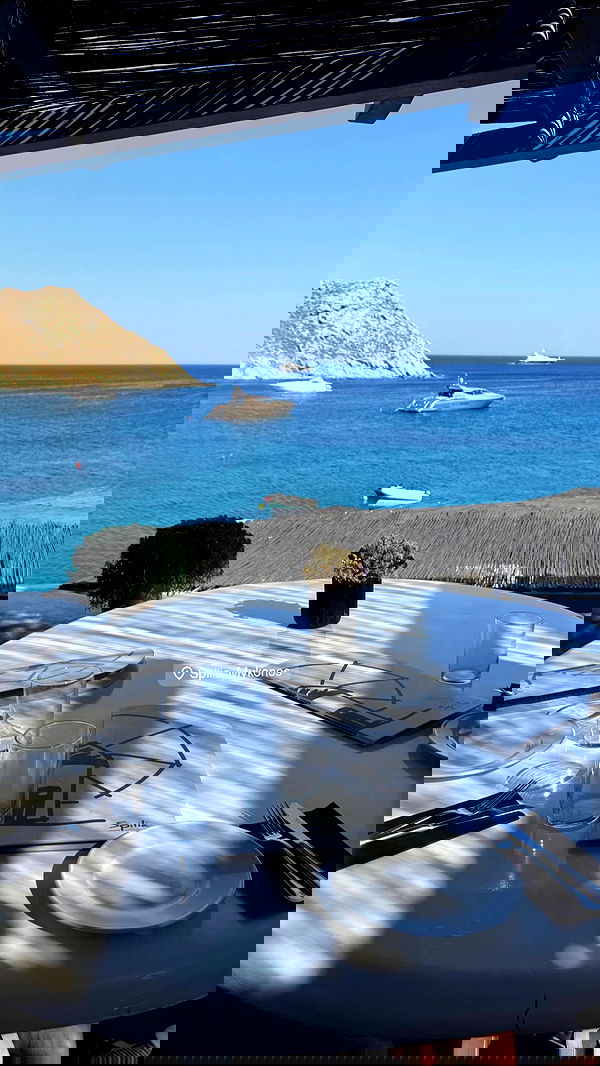 eve__sahar image ~ Altpins