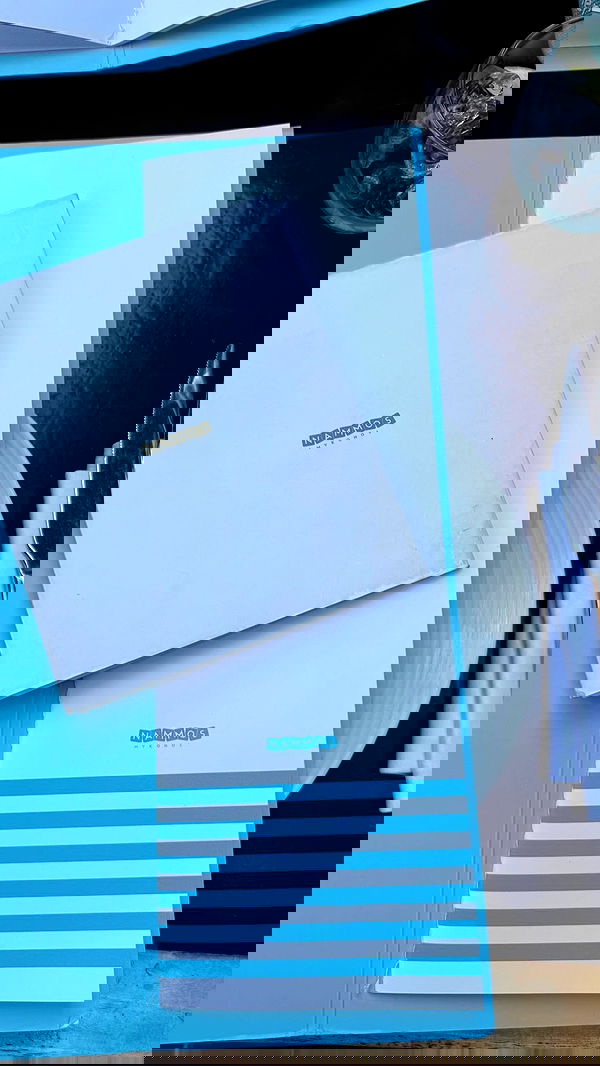 eve__sahar image ~ Altpins