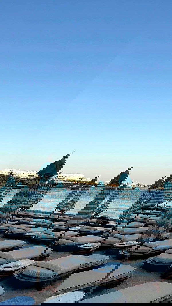 eve__sahar image ~ Altpins