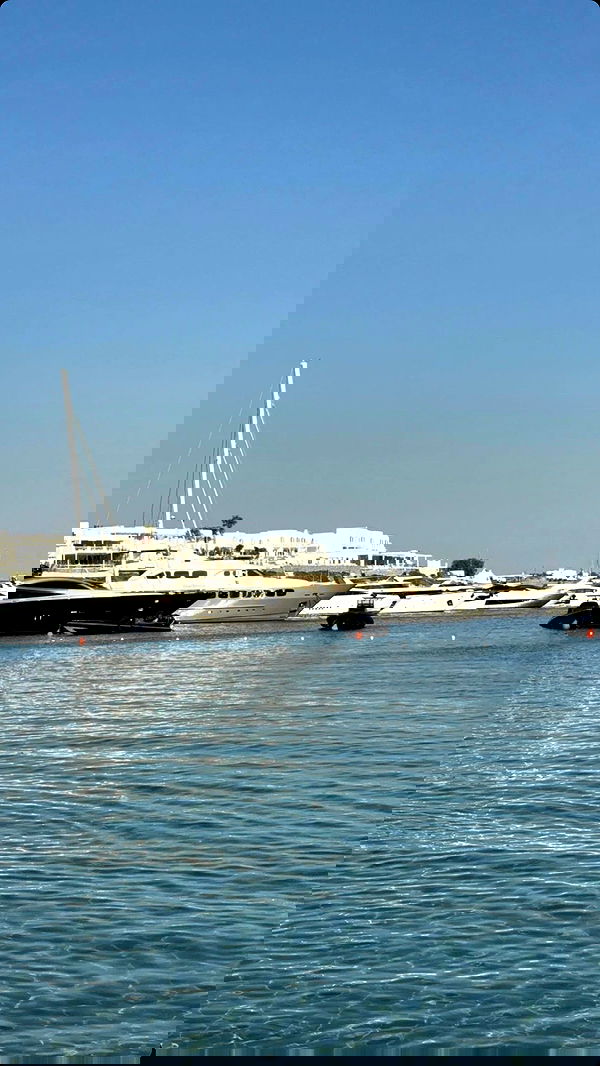 eve__sahar image ~ Altpins