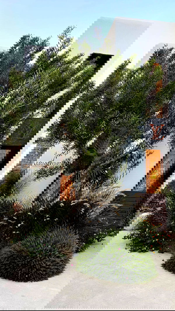 eve__sahar image ~ Altpins