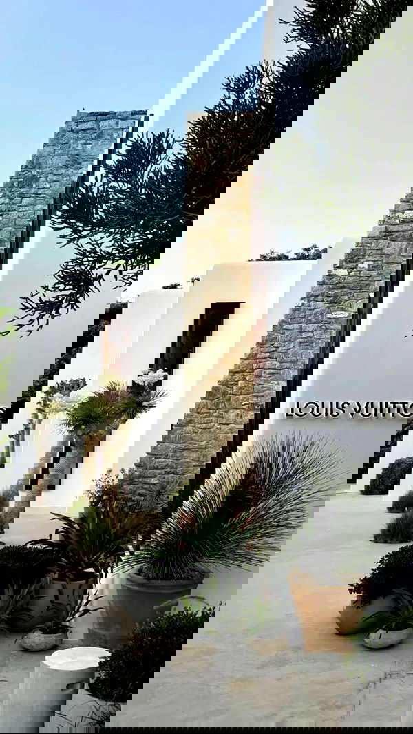 eve__sahar image ~ Altpins