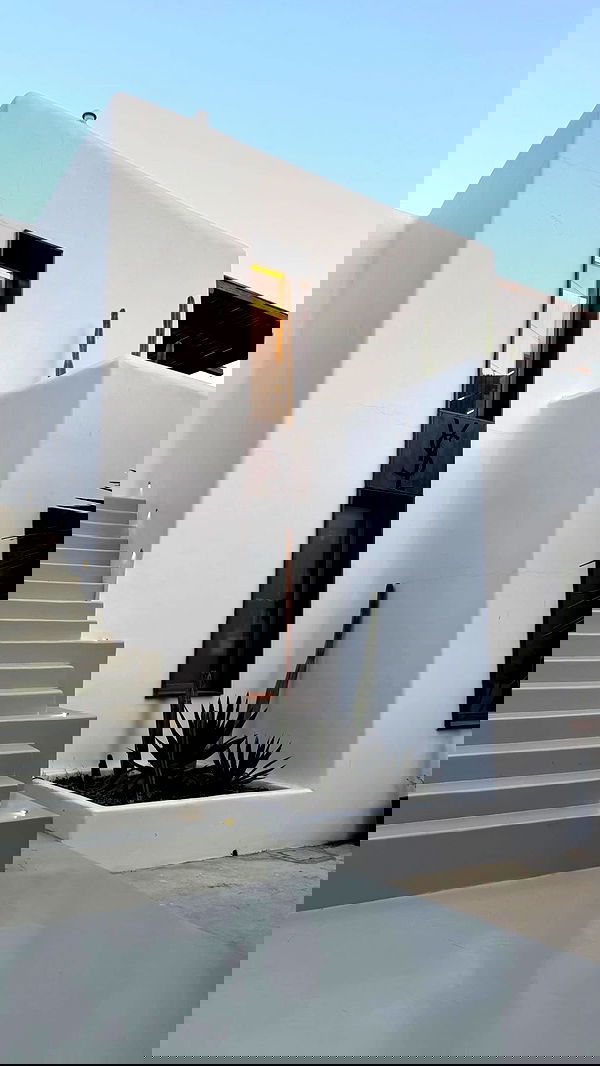 eve__sahar image ~ Altpins