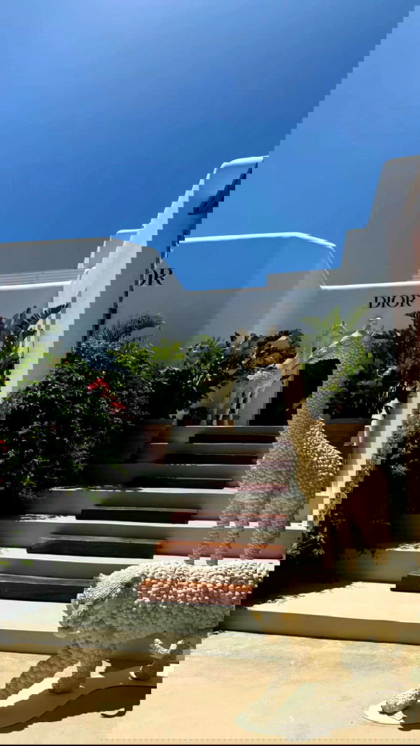 eve__sahar image ~ Altpins