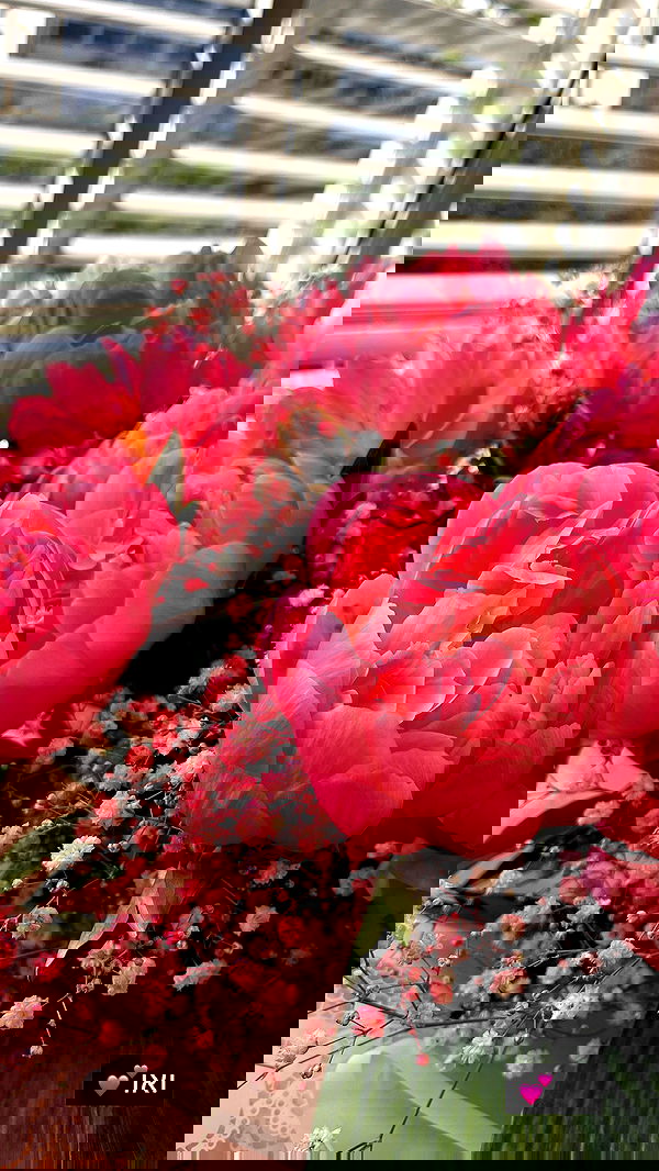 eveliniya eveliniya archive image