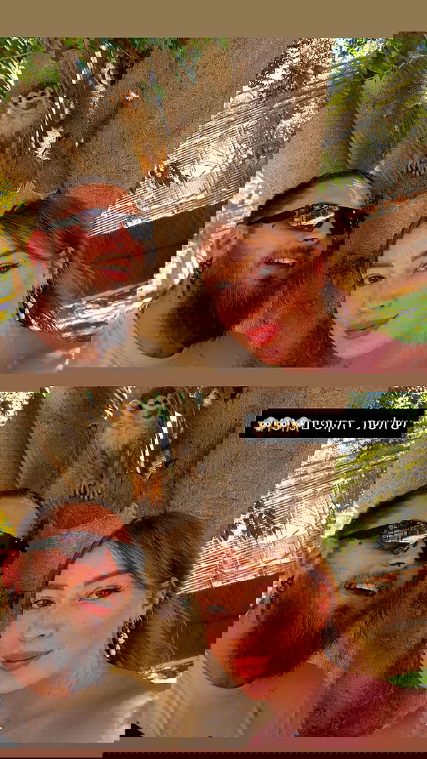 eveliniya eveliniya archive image