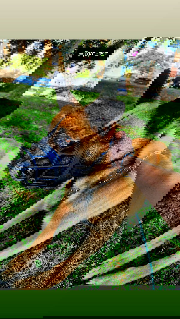 eveliniya eveliniya archive image