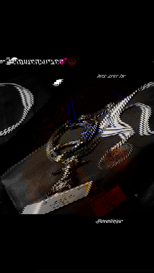 eveliniya eveliniya archive image