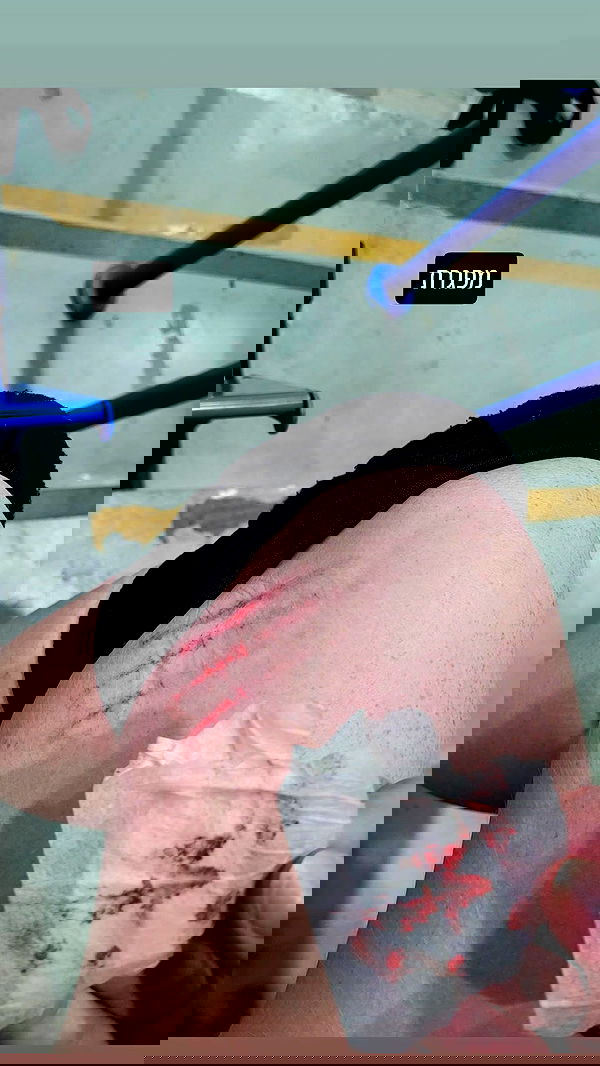 eveliniya eveliniya archive image