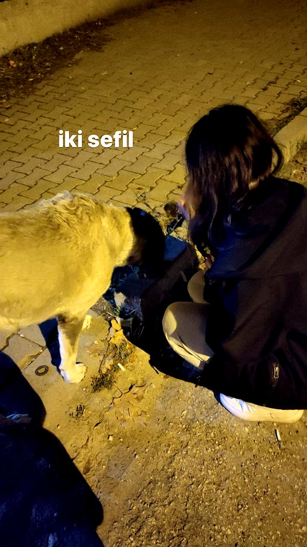 eyluull.y instagram image archive image