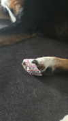 eyluull.y Altpins Profile Picture