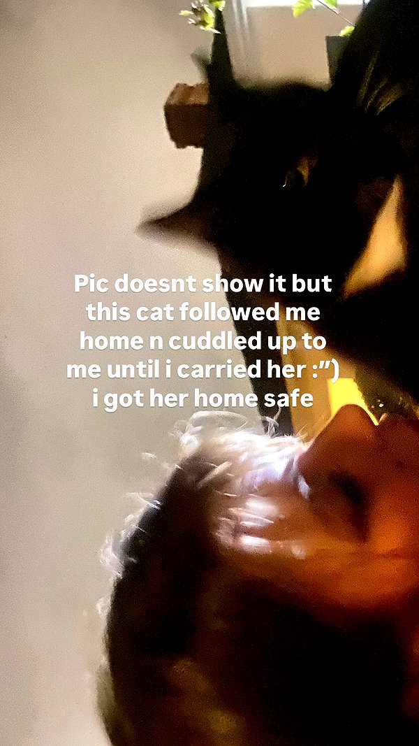 faeryfatale instagram image archive image
