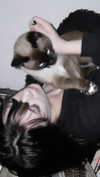 faeryfatale Altpins Profile Picture