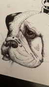 faeryfatale Altpins Profile Picture