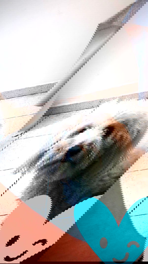 feelbetterinmysweater feelbetterinmysweater archive image