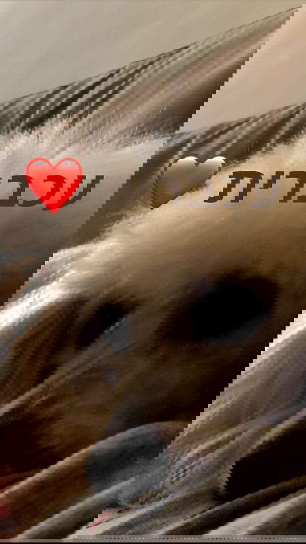 feelbetterinmysweater feelbetterinmysweater archive image