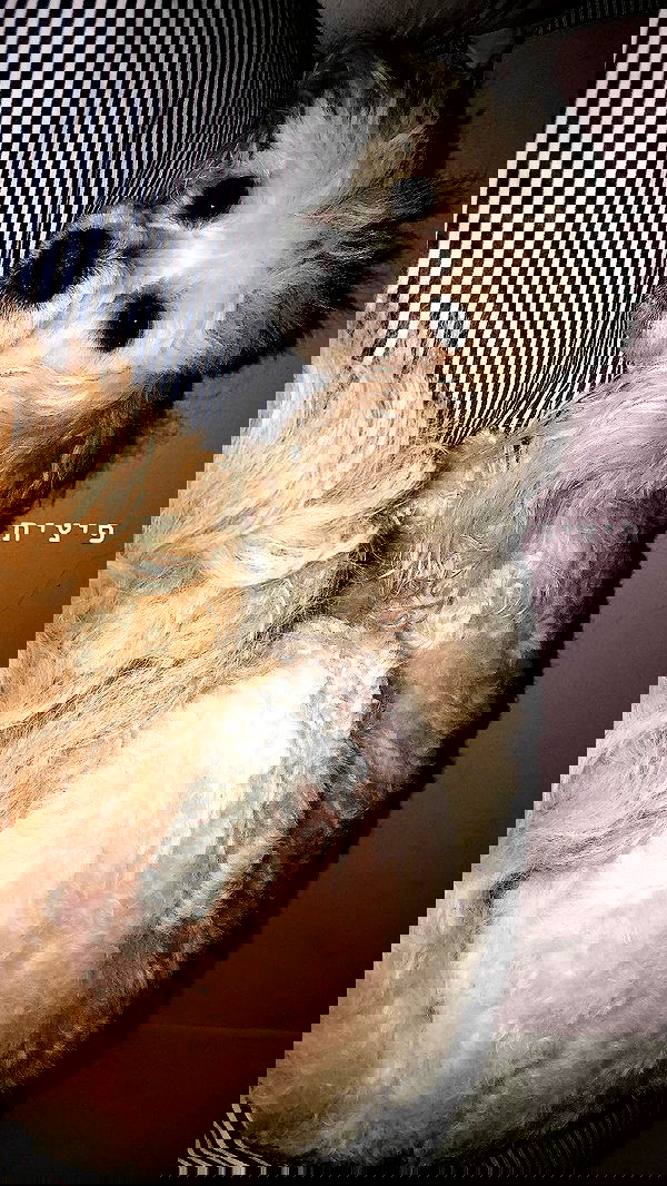 feelbetterinmysweater feelbetterinmysweater archive image