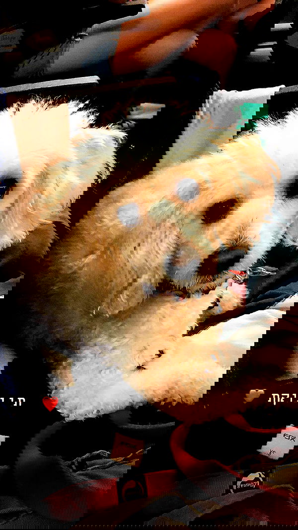 feelbetterinmysweater feelbetterinmysweater archive image