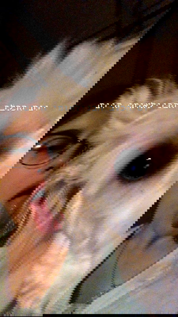 feelbetterinmysweater feelbetterinmysweater archive image