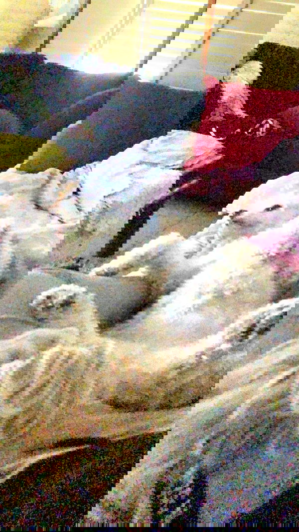 feelbetterinmysweater feelbetterinmysweater archive image