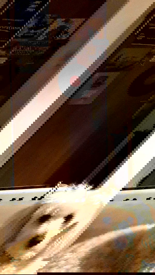 feelbetterinmysweater feelbetterinmysweater archive image