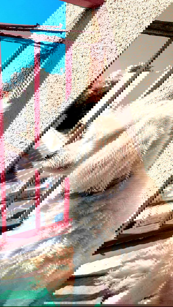 feelbetterinmysweater feelbetterinmysweater archive image