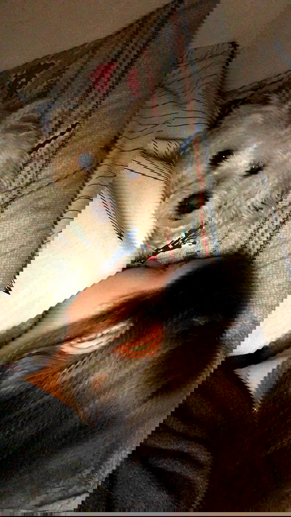 feelbetterinmysweater feelbetterinmysweater archive image