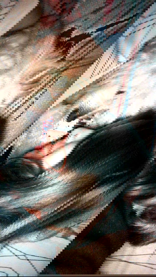 feelbetterinmysweater feelbetterinmysweater archive image