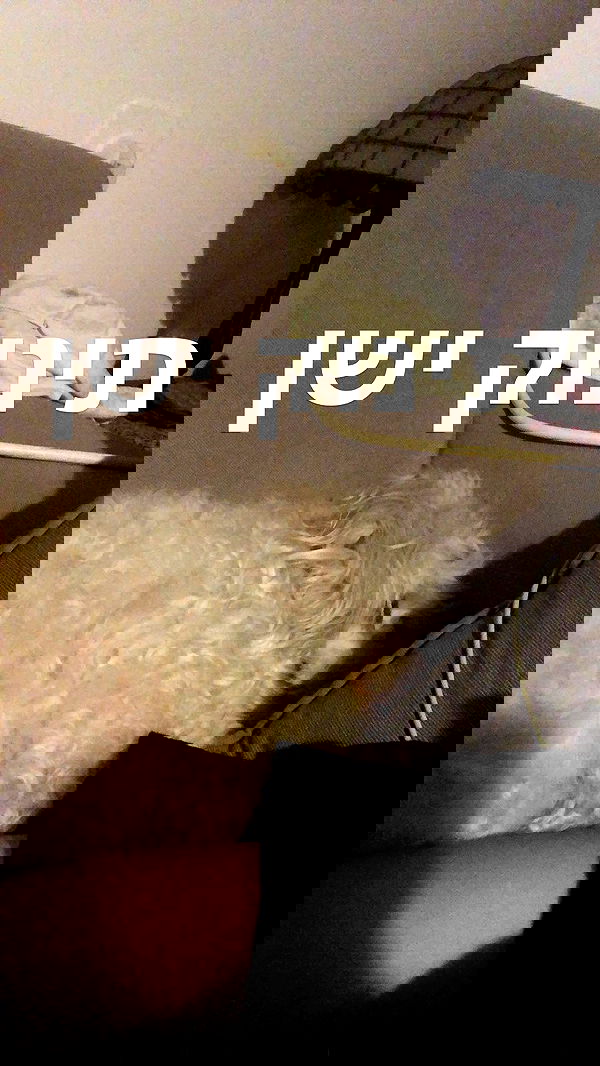 feelbetterinmysweater feelbetterinmysweater archive image