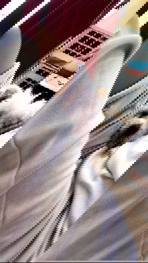 feelbetterinmysweater feelbetterinmysweater archive image